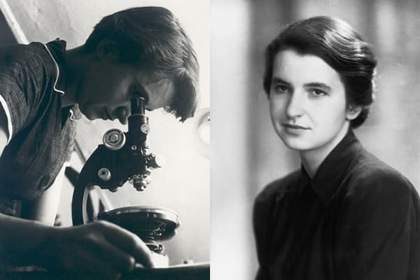 Rosalind Franklin
Women in STEM
Career Narratives